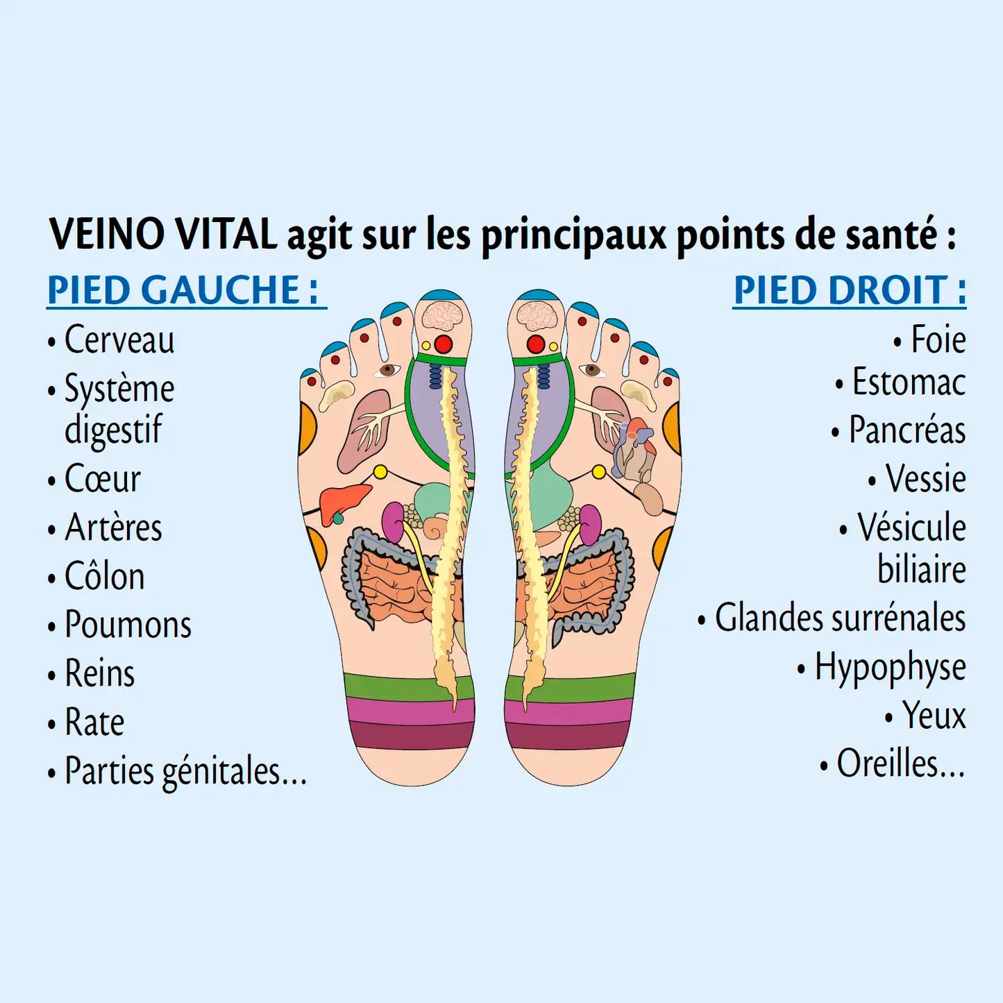 Stimulateur VEINO VITAL